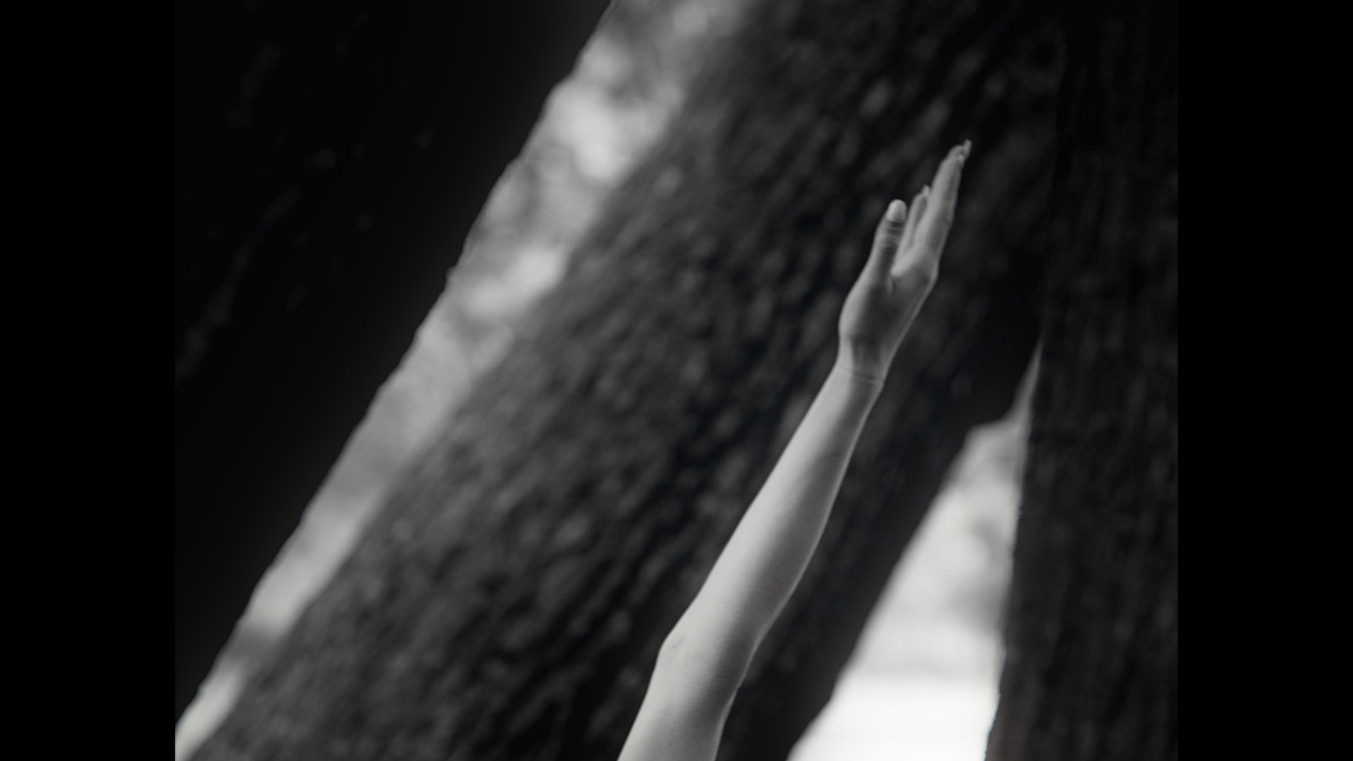 Aura’s Dance – Final Stills_3.1.3.T
