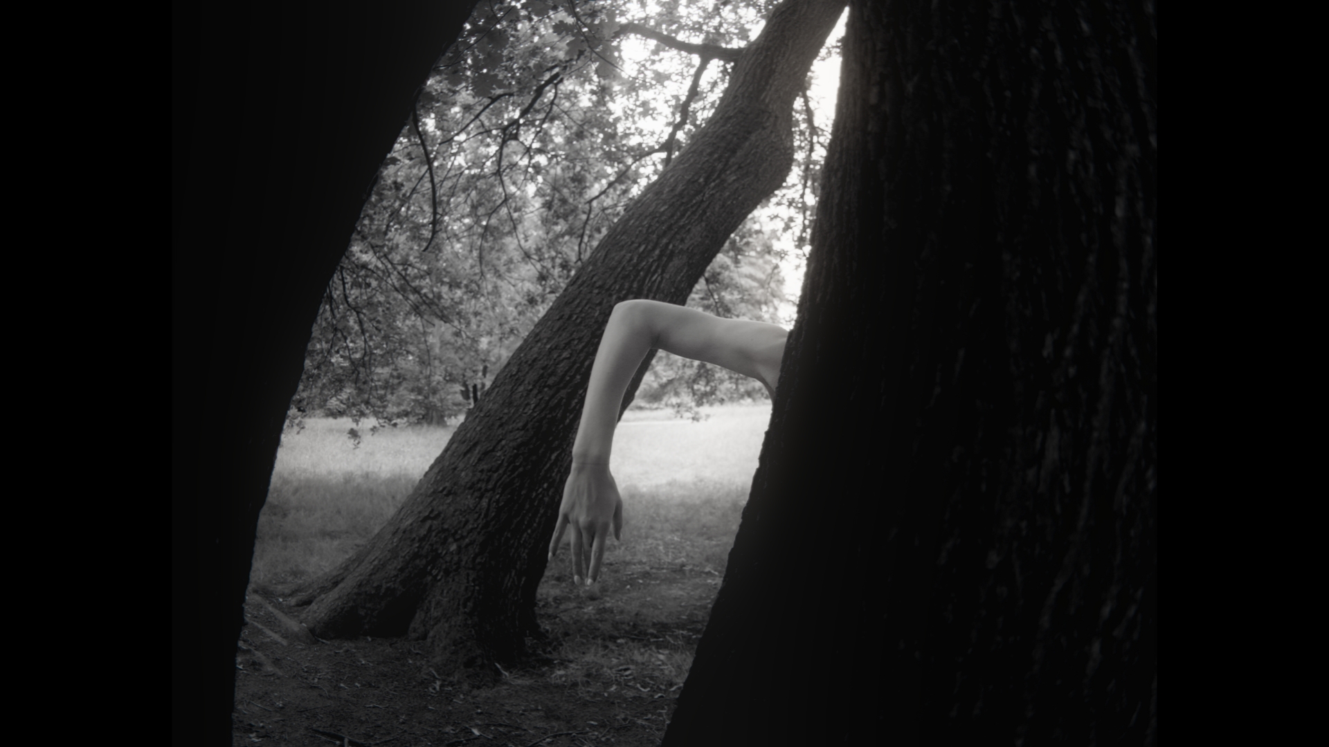 Aura’s Dance – Final Stills_3.5.8.T