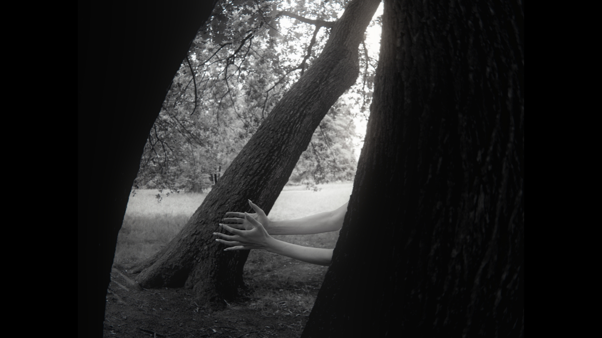 Aura’s Dance – Final Stills_3.7.2.T