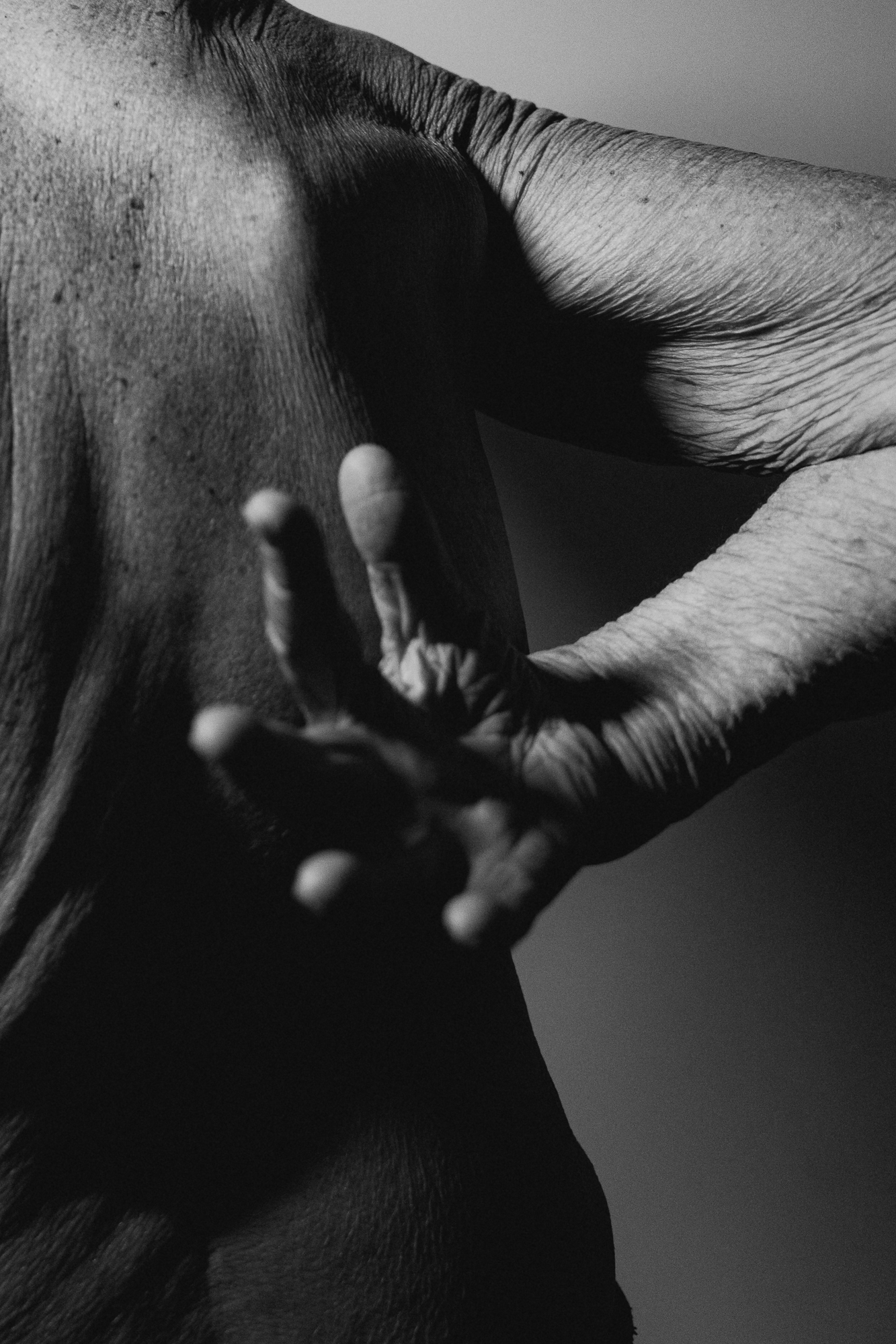 ©TheresaMariaForthaus-04967