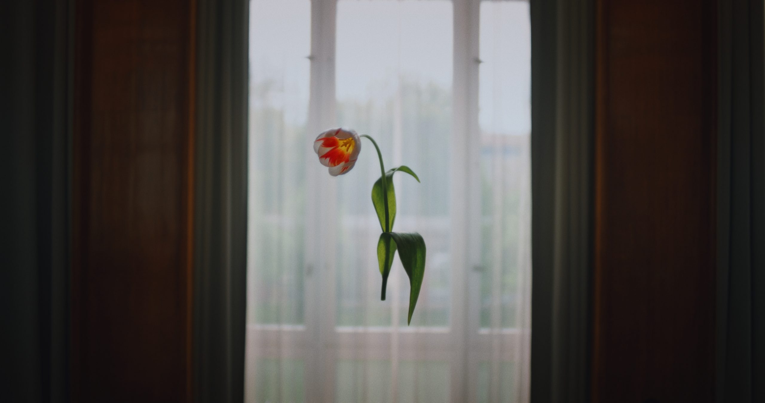 TheresaMariaForthaus_ML_1.44.1